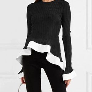 Long Sleeve  Top. New.  With Tag.